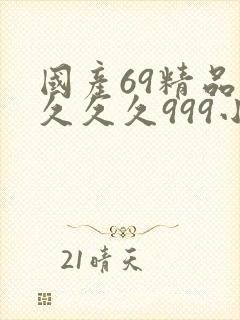 国产69精品久久久久999小说