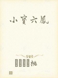 小宝六凤