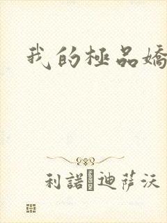 我的极品娇妻