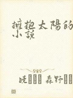 拥抱太阳的月亮小说