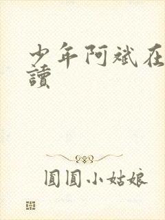 少年阿斌在线阅读