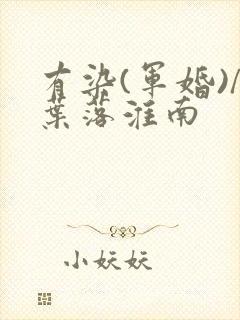 有染(军婚)/叶落淮南