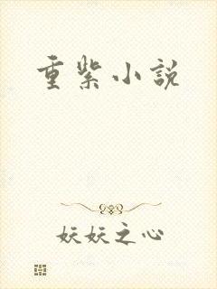 重紫小说