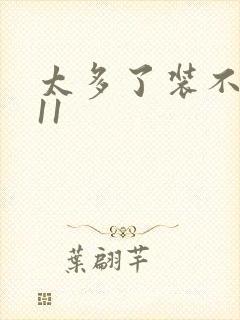 太多了装不下H11