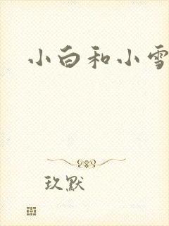 小白和小雪