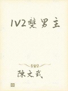 1V2双男主