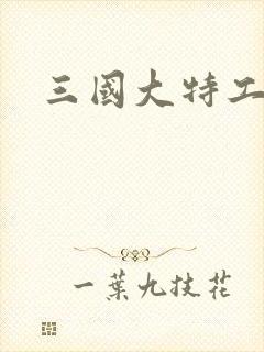 三国大特工