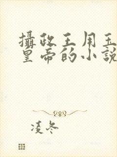 摄政王用玉髓整皇帝的小说