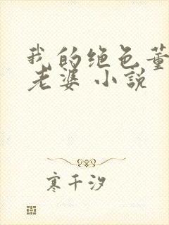 我的绝色董事长老婆 小说