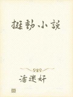 挺动小说