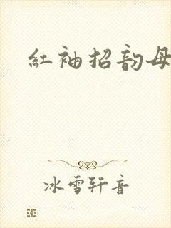 红袖招韵母攻略