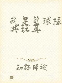 我是篮球队的公共玩具