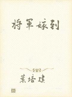 将军嫁到
