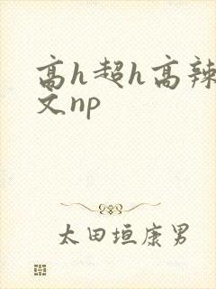 高h超h高辣h文np