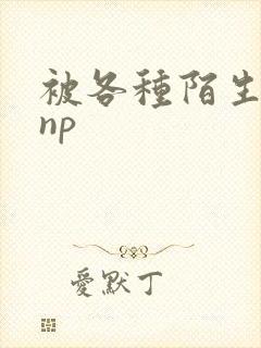 被各种陌生人 np