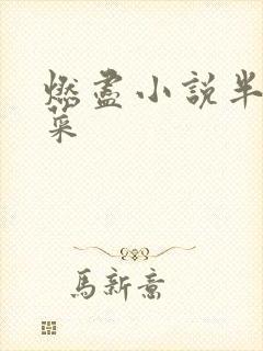 燃尽小说半截白菜