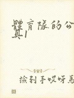 体育队的公用玩具1