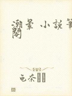 潮晕 小说笔趣阁