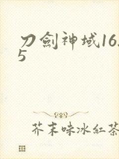 刀剑神域16.5