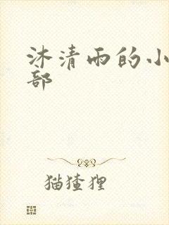 沐清雨的小说全部