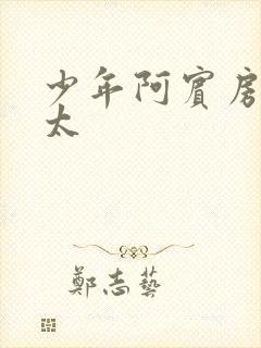 少年阿宾房东太太