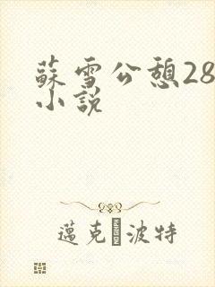 苏雪公憩28篇小说