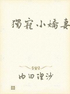 独宠小娇妻