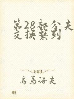 第28部分夫妇交换系列