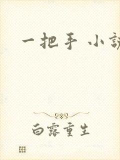 一把手 小说