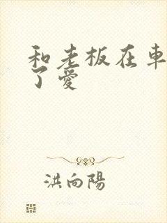 和老板在车里做了爱