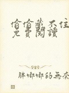 偷偷藏不住小说免费阅读