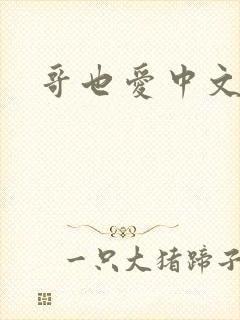 哥也爱中文