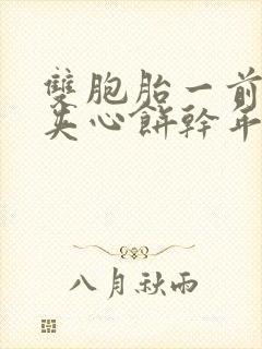 双胞胎一前一后夹心饼干年下