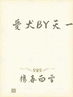 爱犬BY天一