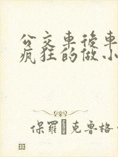 公交车后车座的疯狂的做小