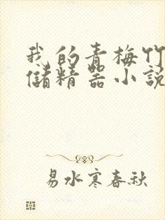 我的青梅竹马是储精器小说