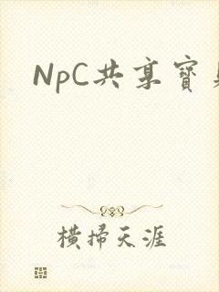 NpC共享宝贝