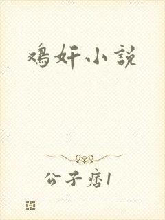 鸡奸小说