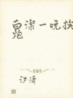 白洁一晚挨十二炮