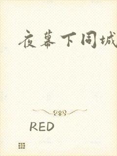 夜幕下同城网