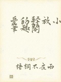 爱的释放小说 笔趣阁