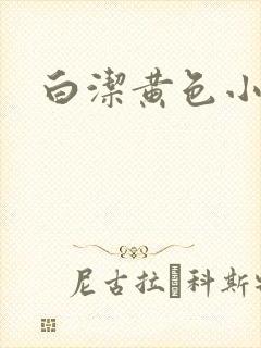白洁黄色小说