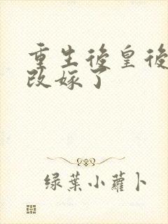 重生后皇后娘娘改嫁了