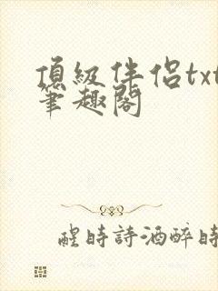 顶级伴侣txt笔趣阁