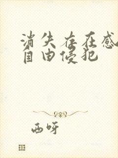 消失存在感消失自由侵犯