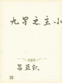 九星之主小说