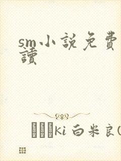 sm小说免费阅读