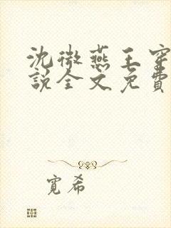 沈微燕王穿越小说全文免费阅读