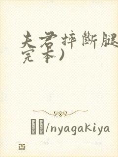 夫君摔断腿后(完本)