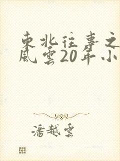 东北往事之黑道风云20年小说